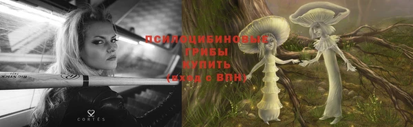 прущие крисы Краснотурьинск