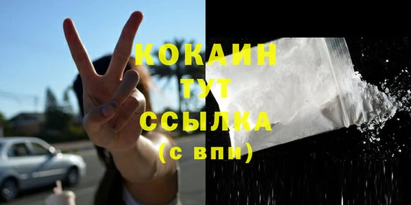 дживик Чегем