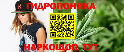 амф Кулебаки