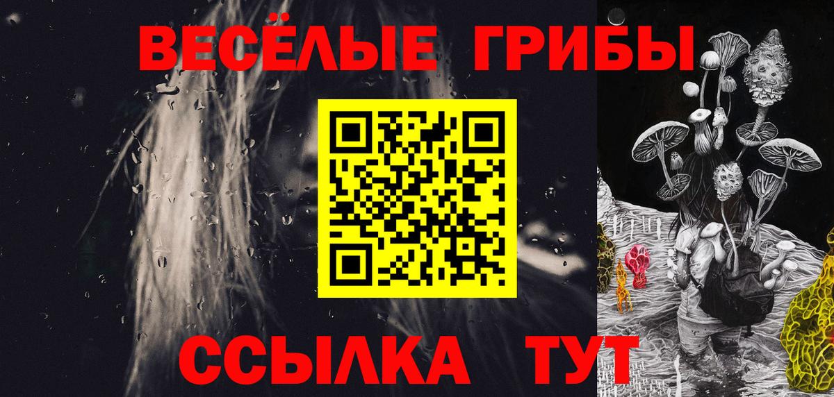 Галлюциногенные грибы Psilocybe Сосновоборск