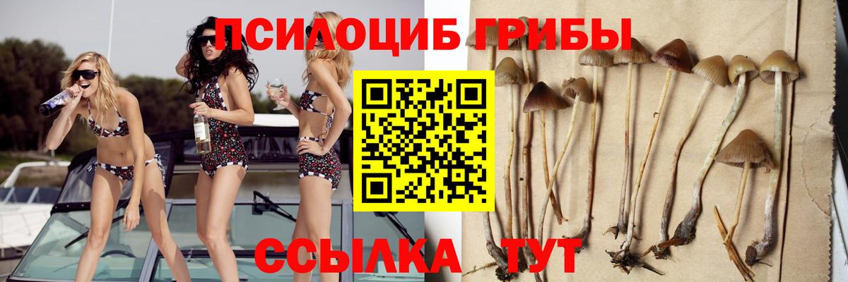 Псилоцибиновые грибы мицелий  Псилоцибиновые грибы мухоморы  Сосновоборск  где найти   Вход с VPN 